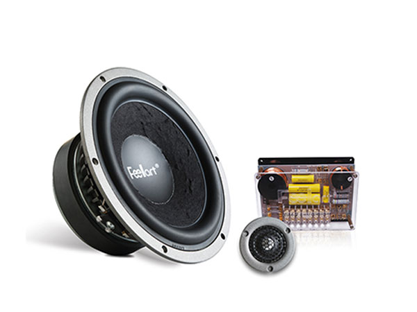 2 way system speaker FEELART EU-6.2